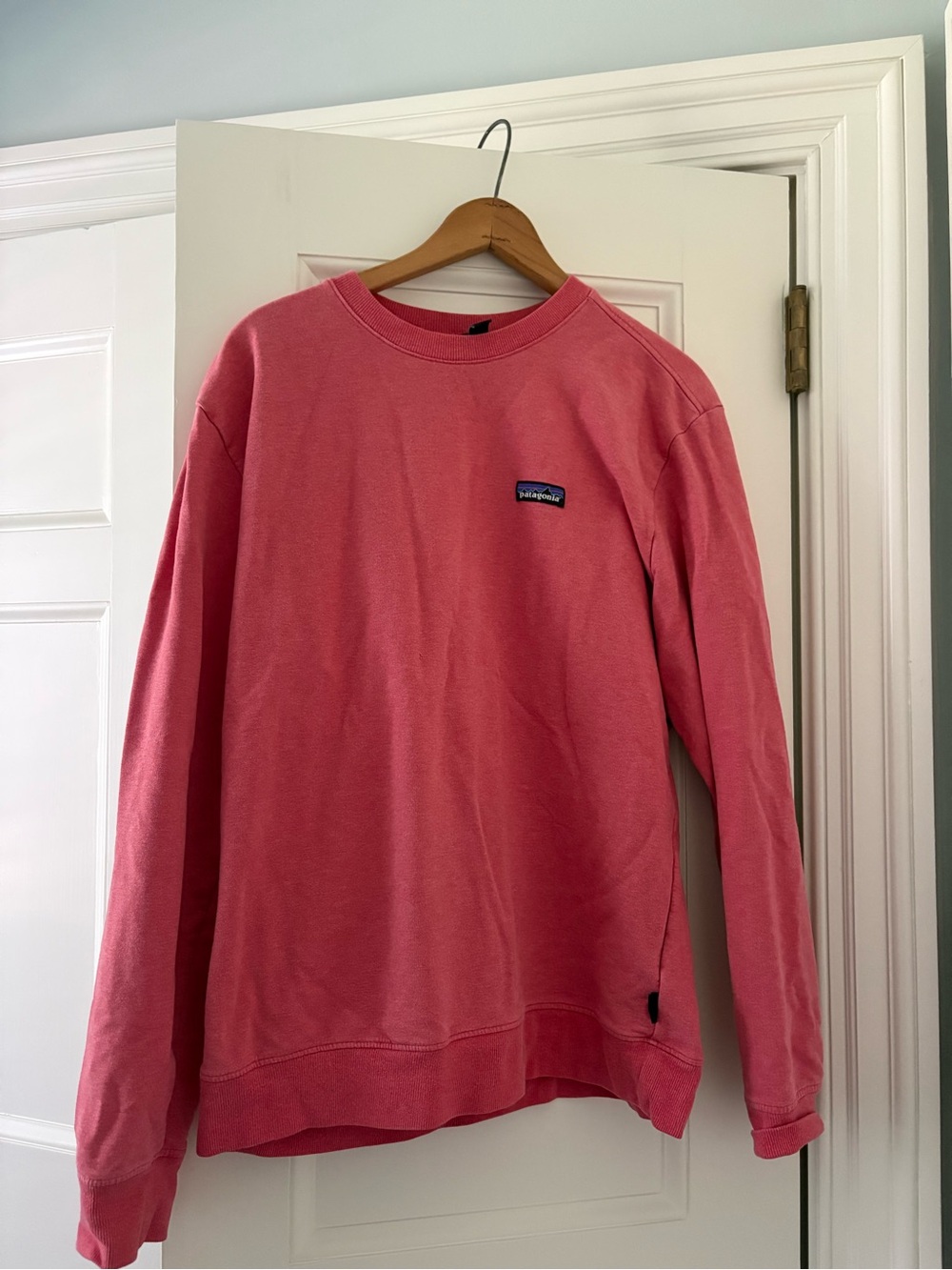 Patagonia Men's Crewneck Sweatshirt in Coral